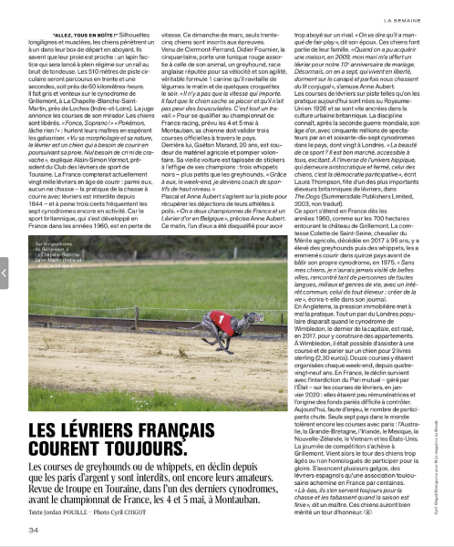 M Le Magazine / Les lévriers courent toujours @ Cyril Chigot