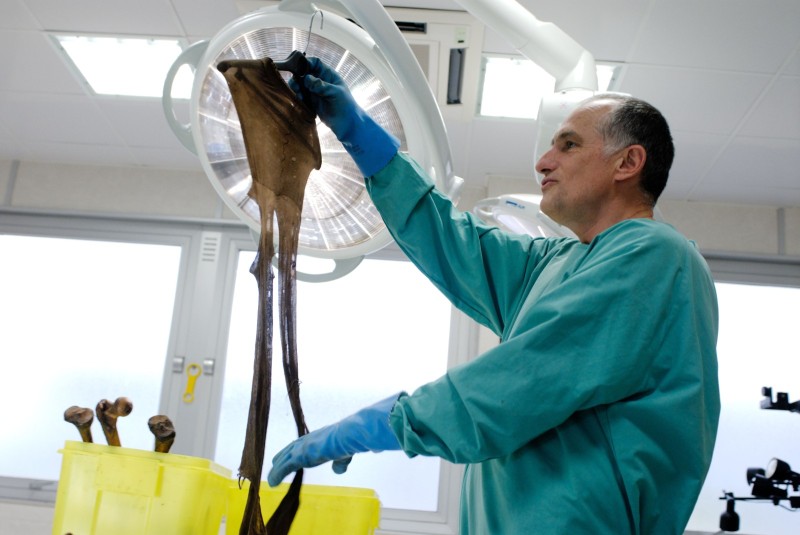 POITIERS Unite de medecine legale au service de la justice 16 septembre 2010 © François