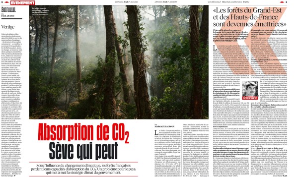 Libération : Climat et forêts françaises
