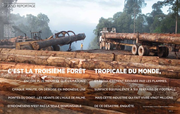 Géo, grand reportage - Déforestation en Indonésie