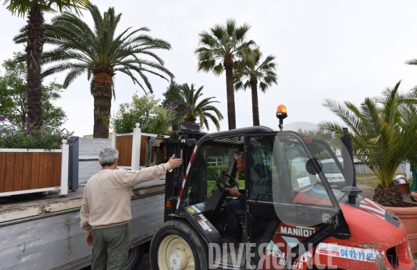 Direction des Espaces Verts de la ville de Nice : les serres municipales