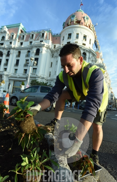 Direction des Espaces Verts de la ville de Nice : jardiniers