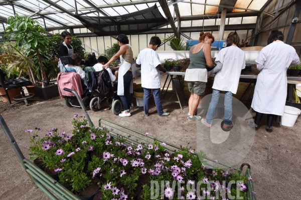 Direction des Espaces Verts de la ville de Nice : formation handicapés