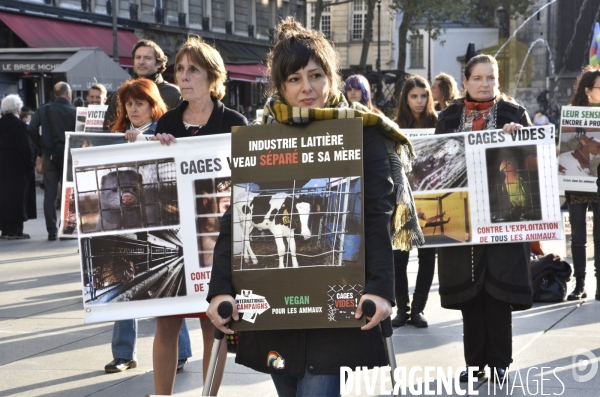 Actions pour la cause animale. Animals rights.