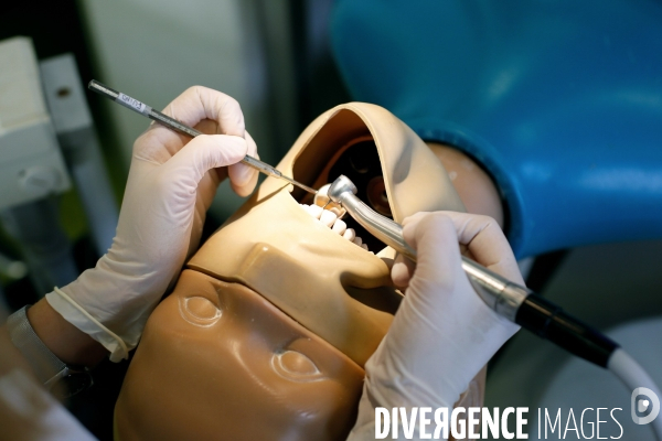 Simulateurs de chirurgie dentaire