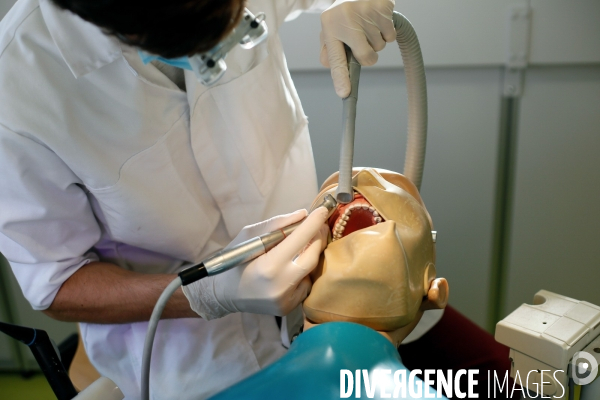 Simulateurs de chirurgie dentaire