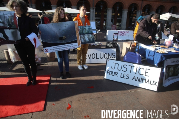 Manifestation contre la consommation de foie gras