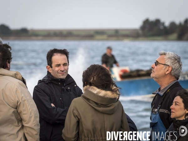 Benoit Hamon visit Oyster production