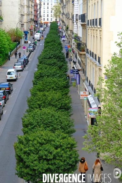 Vue d une rue arboree depuis la coulee verte Rene Dumont, une high line parisienne