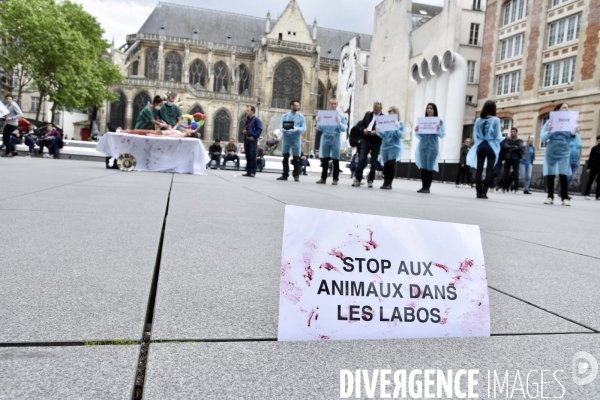 Action Cause Animale : STOP AUX TESTS SUR LES ANIMAUX EN COSMETIQUE. Stop laboratory tests on animals in cosmetics.