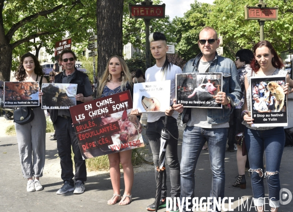 Action Cause animale contre le Festival de YULIN en Chine. Mobilization against YULIN Festival in China.