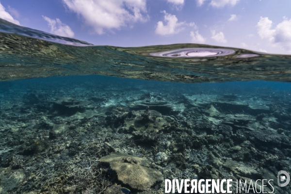 Mi-air mi-eau récif corallien mort aux Maldives