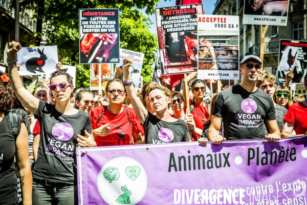 Marche 2017 pour la Fermeture des abattoirs