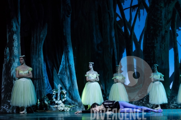 Giselle / Alicia Alonso / ballet national de Cuba