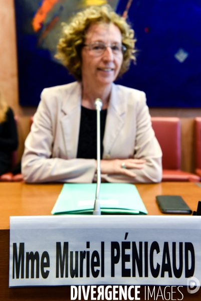 Muriel Pénicaud, audition par les députés