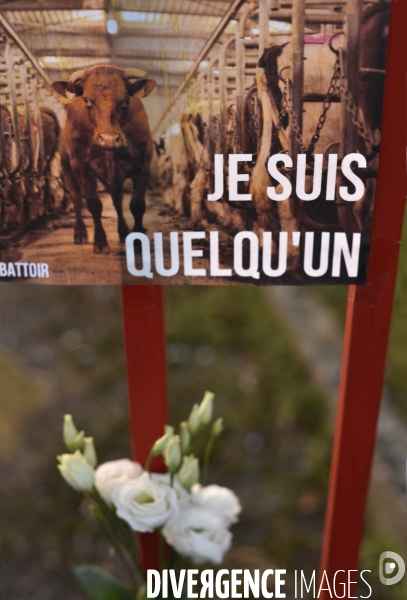 Nuit Debout devant l abattoir Guy Harang à Houdan. No slaughterhouses.