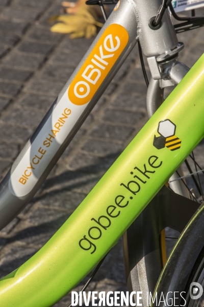 La bataille entre gobee.bike et obike