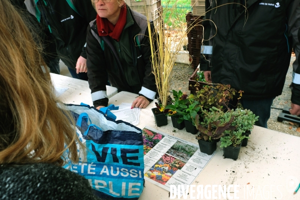 Vente des surplus de plantes vertes par le service des Espaces verts de la ville de Paris.Campagne de la municipalite: vegetalisons Paris