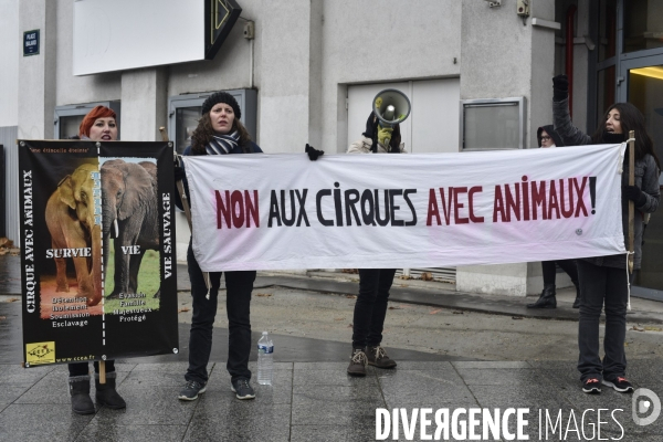 Cause animale : contre l exploitation des animaux dans les cirques. Animals rights.