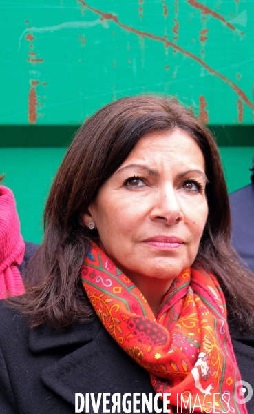 Portrait d anne Hidalgo, maire de Paris