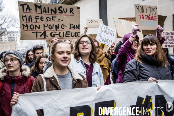 #MeToo, Contre les Violences Sexistes, Paris 27.01.2018