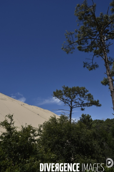 La dune du pilat