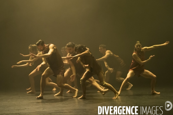 WILDEBEEST - Gabrielle Nankivell - Sydney Dance Company