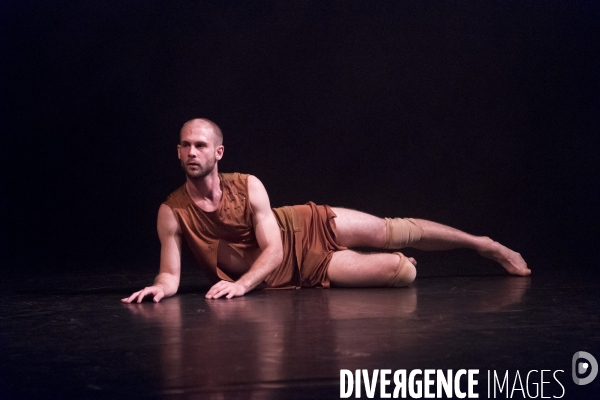 WILDEBEEST - Gabrielle Nankivell - Sydney Dance Company