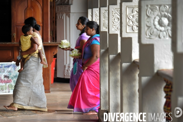 Le Dalada Maligawa, le Temple de la Dent - Kandy-SriLanka