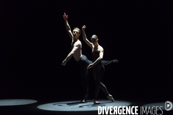 THE SEASONS de Edouard Lock - Sao Paulo Dance Company