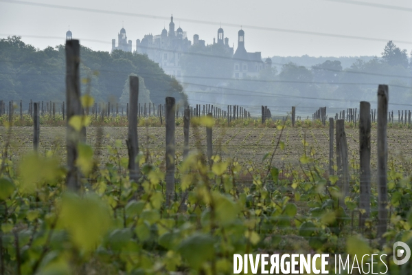 Bataille judiciaire autour du vin de Chambord
