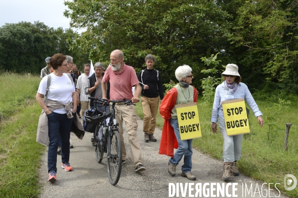 Tous Cobayes , marche antinucléaire Vérité et Justice pour la santé environnementale à la centrale du Bugey