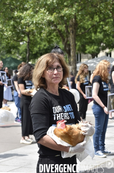 Journée Nationale des Droits des Animaux. NARD 2018, Paris. Animals rights.
