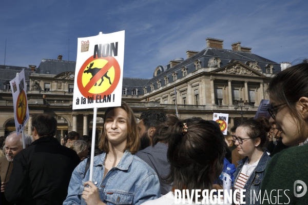 Architectes contre le projet Loi Elan, manifestation Palais Royal