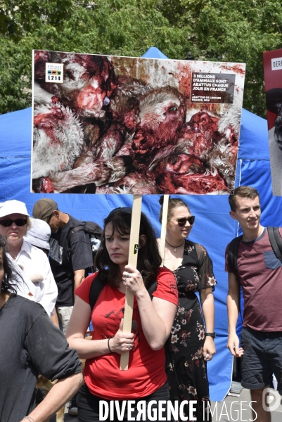 Marche pour la fermeture des abattoirs. Walk to the closure of slaughterhouses.