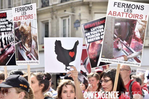 Marche pour la fermeture des abattoirs. Walk to the closure of slaughterhouses.