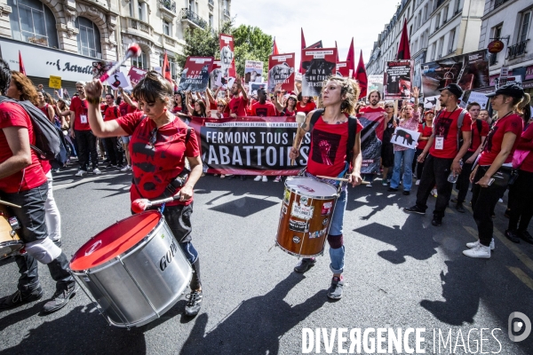 Marche pour la Fermeture des Abattoirs