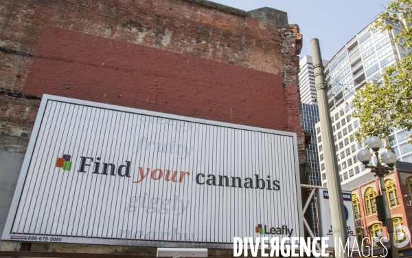 Magasin cannabis city/seattle