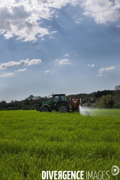 Epandage d herbicide antidicots pour céréales en sortie d hiver