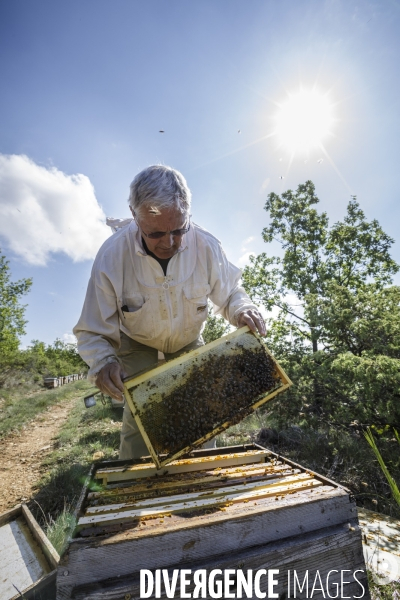Georges VIBERT apiculteur