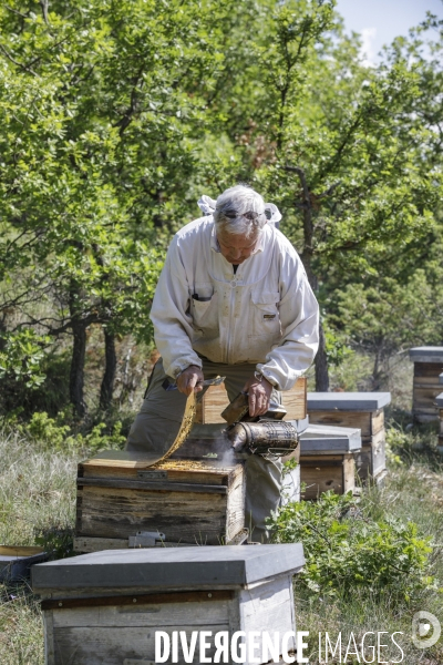 Georges VIBERT apiculteur