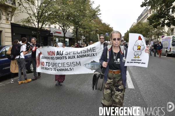 Cause animale : VEGGIE PRIDE. Walk for the animals rights.