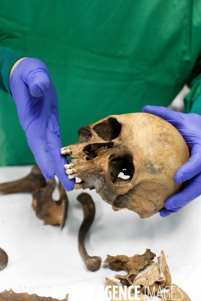 Procédure d identification du cadavre d un poilu par le docteur Bruno Frémont