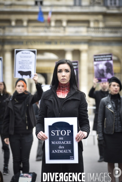 Journée mondiale du veganisme 2018 Paris. Happening to combat animal exploitations.
