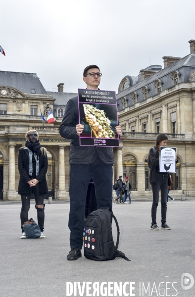 Journée mondiale du veganisme 2018 Paris. Happening to combat animal exploitations.