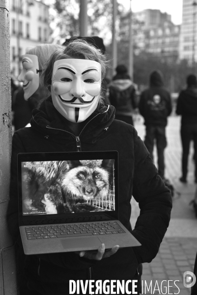 Action cause animale, ANONYMOUS FOR THE VOICELESS, Cube of Truth. International cube day November 3RD 2018 PARIS. Animals rights.