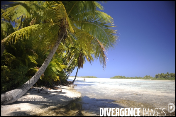 Paysage de polynesie francaise . lagon bleu au large de l atoll de rangiroa dans l ocean pacifique .