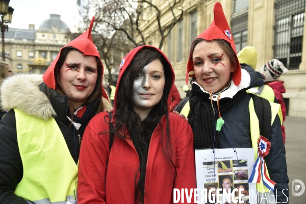 Manifestation Gilets jaunes, marche des femmes gilets jaunes contre les violences policières du 3 février 2019 à Paris.