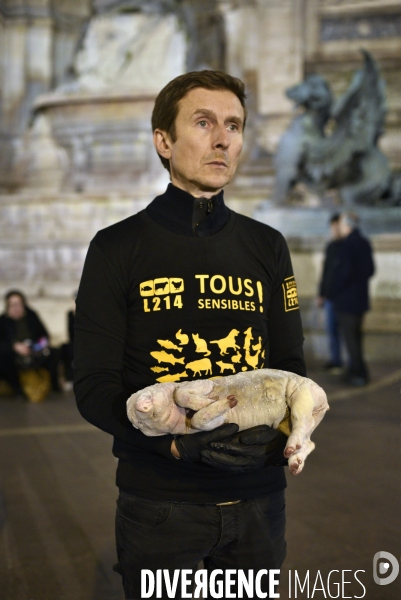 Cause animale : Journée internationale sans viande. Action L214   l élevage tue  . Animals rights.