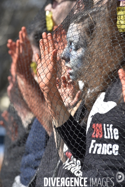Cause animale : Journée Mondiale pour la Fin de la Peche. Action 269 Life France - Actions Ile-de-France  LA PECHE : une vraie BOUCHERIE Animals rights.